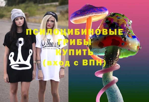 прущая мука Вяземский
