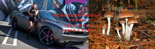 прущая мука Вяземский
