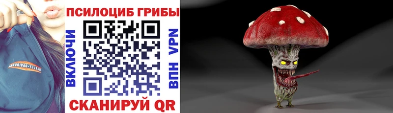 Купить закладки  Выкса  Галлюциногенные грибы мухоморы 